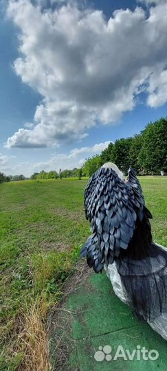 Крылья ангела