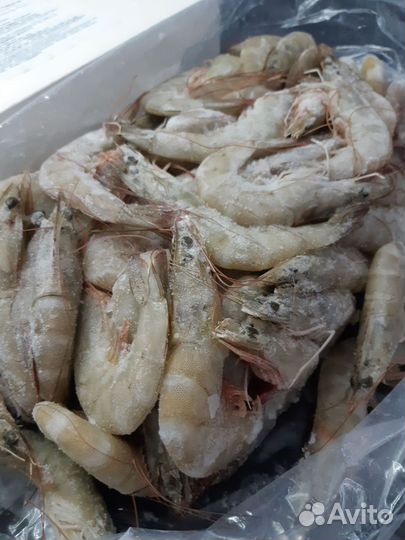 Рыба свежемороженая доставка на дом