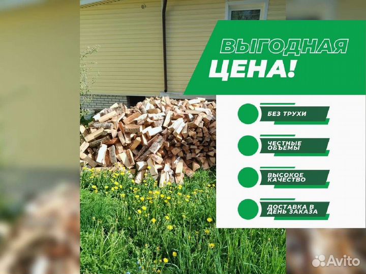 Дрова колотые березовые