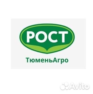 Дворник