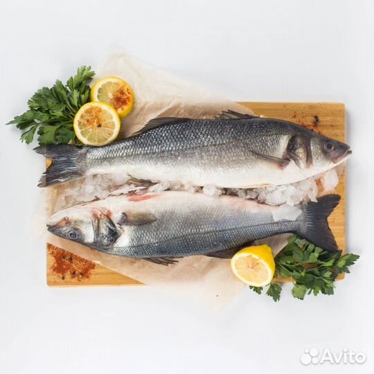 Сибас свежемороженый 300-400 гр 5 кг