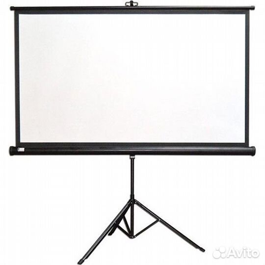 Экран для проектора аренда