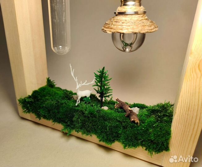 Декоративная рамка со мхом