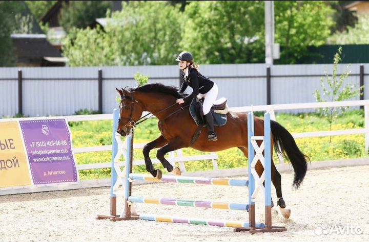 Индивидуальные занятия