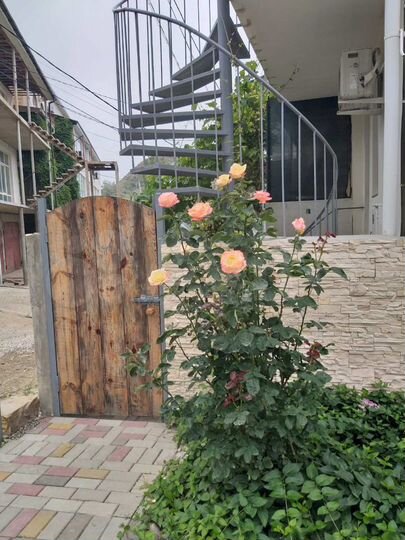 Комната 24 м², 1/3 эт.