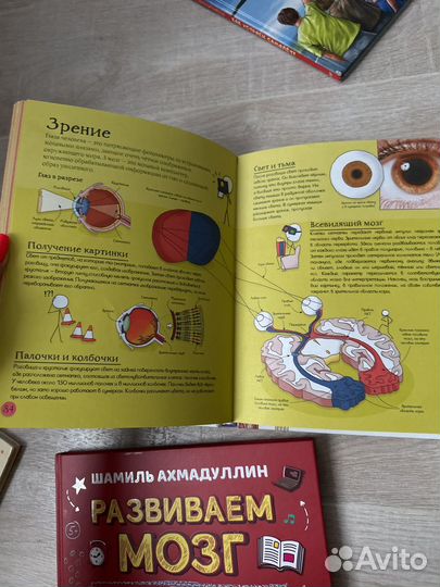 Детская энциклопедия
