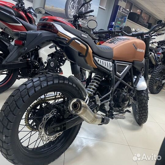 Avantis City 250 птс