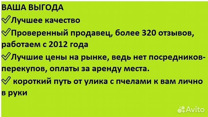 Мед подсолнечника от пчёл, доставкой Беспл