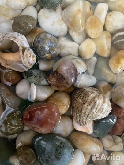 Морские камни