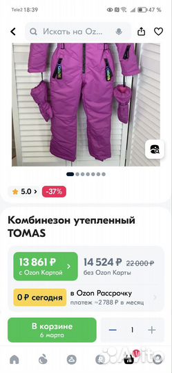 Зимний комбинезон