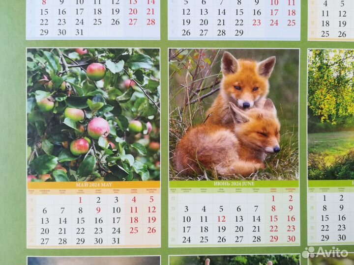 Бесплатно. Сказки волшебного леса.Календарь 2024