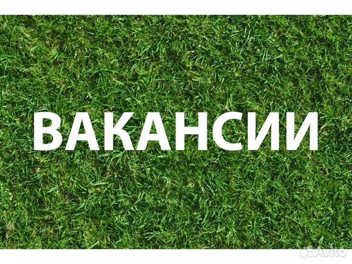 Подсобный рабочий вахта до 54 смен Без опыта