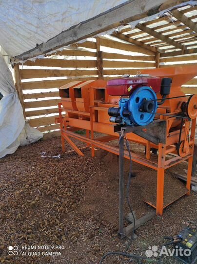 Кедровый орех