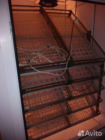 Инкубатор 1400 яиц