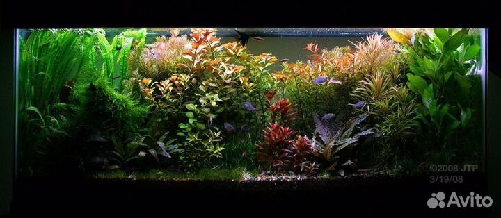 Обслуживание аквариумов