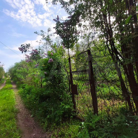 Участок 5,4 сот. (СНТ, ДНП)