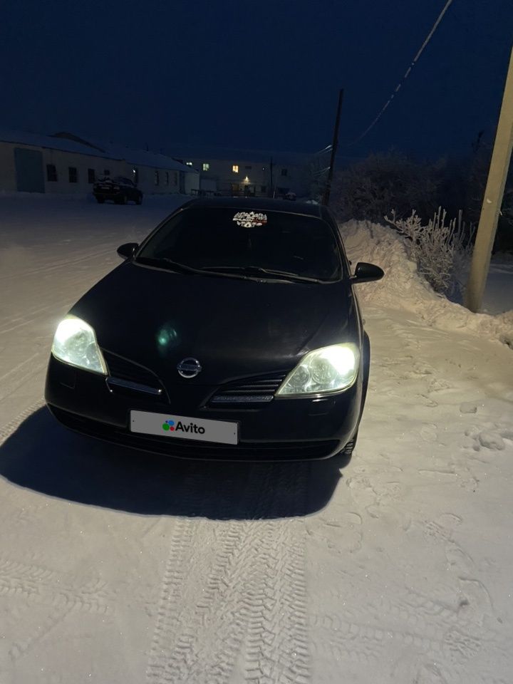 Nissan Primera: фото владельца