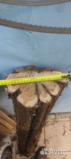 Бревна можжевельника