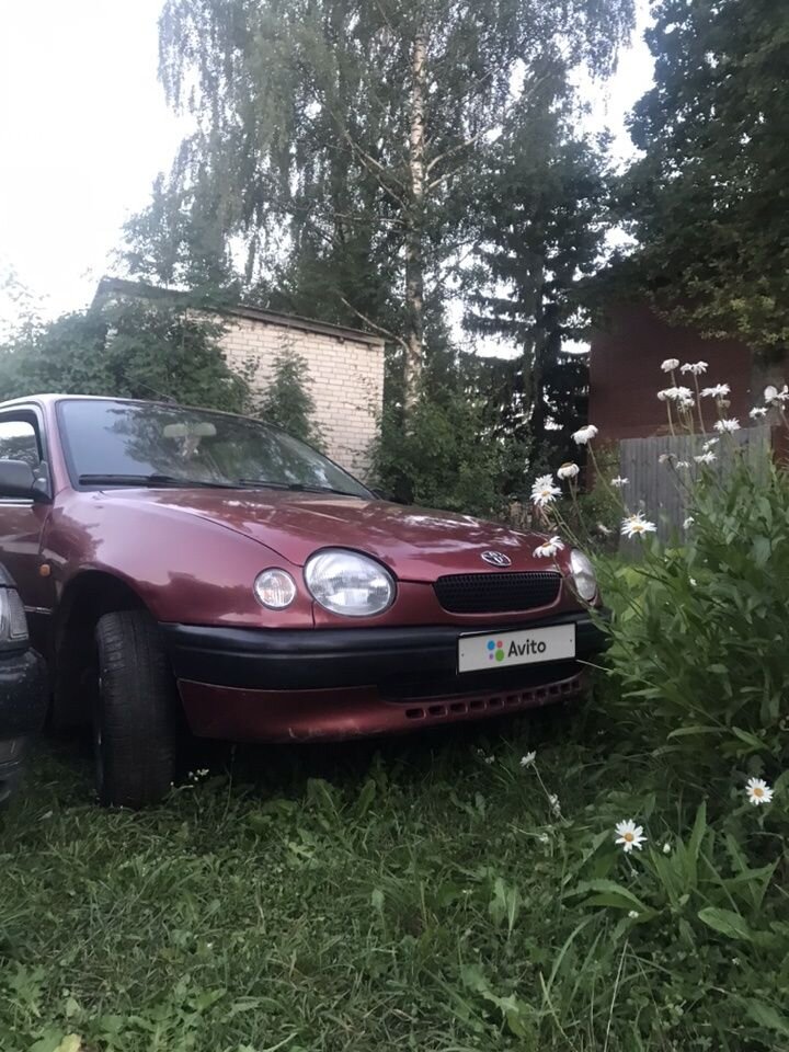 Toyota Corolla: фото владельца