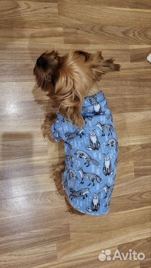 Одежда для йорка, размер м