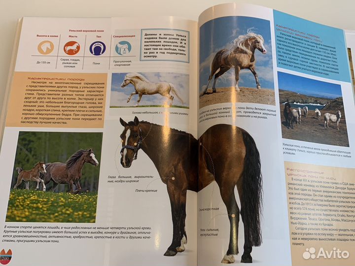 Книги про лошадей