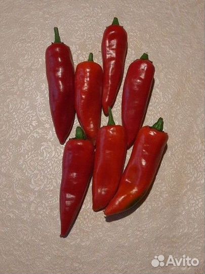 Перец острый чили