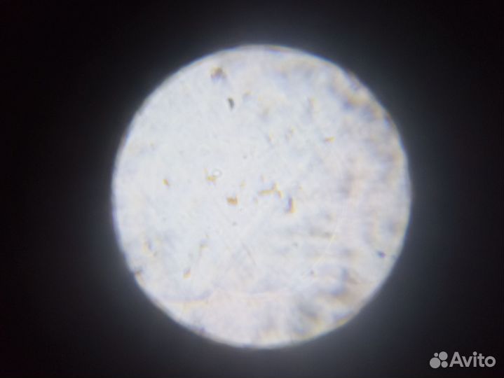 Микроскоп для детей и подростков