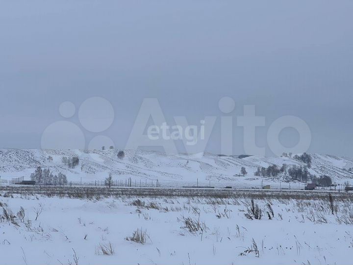 Участок 8 сот. (СНТ, ДНП)