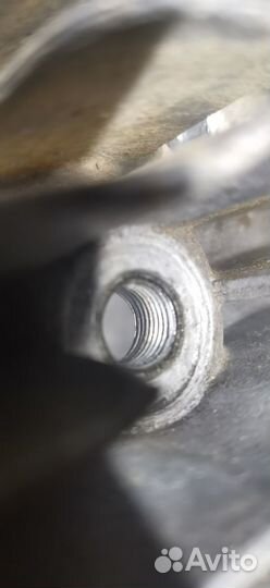 Головы юпитер 5