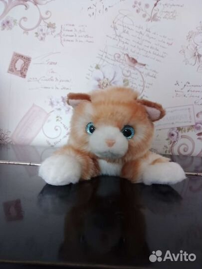 Котик-антистресс