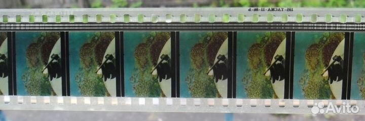 Золотой гвоздь мультфильм кинопленка 35 мм фильмок