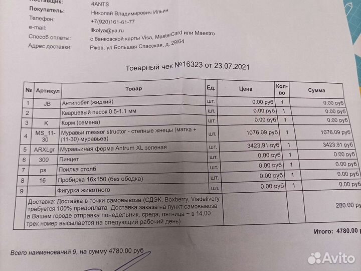 Формикарий без муравьев