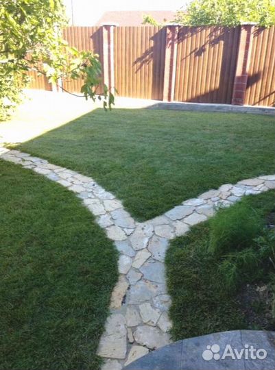 Рулонный газон 