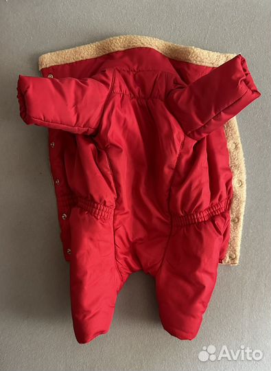 Одежда для собак