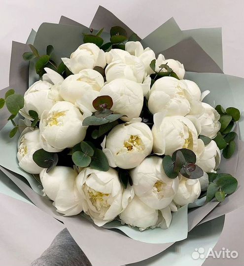 Пионы Розы Доставка