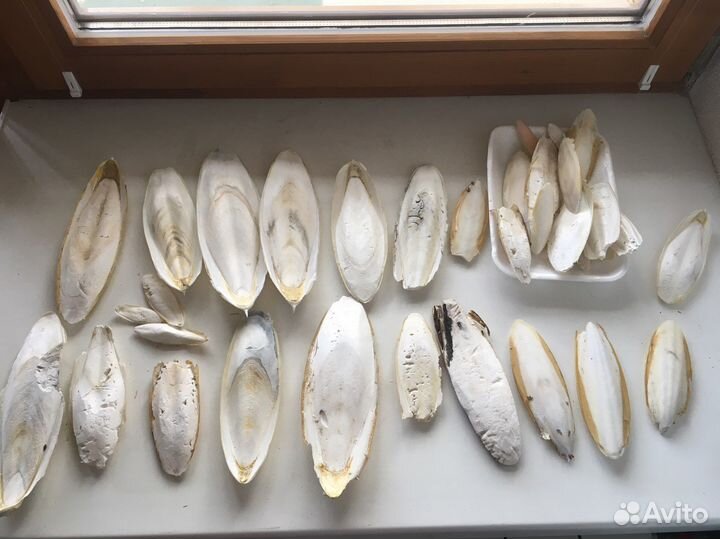 Корм для птиц