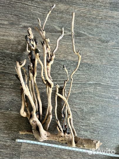 Корм сухой для аквариумной рыбы coppens vital