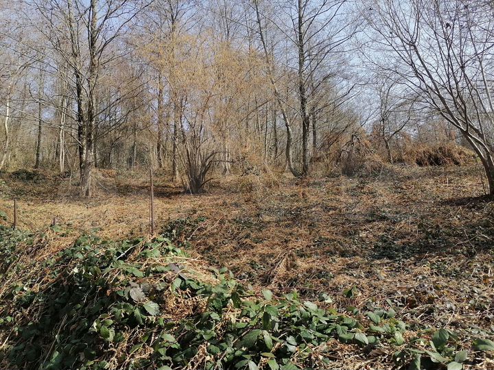 Участок 5 сот. (СНТ, ДНП)