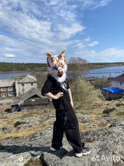 Фурсьют рыси