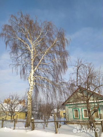 Нужно спилить дерево в деревне