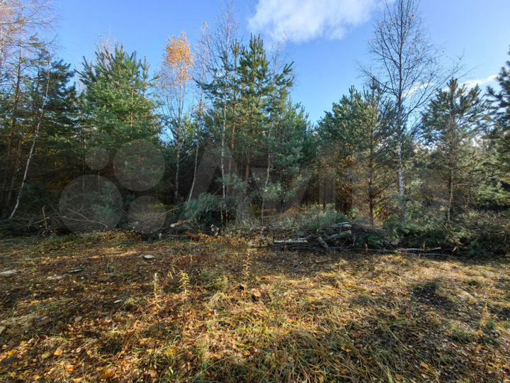 Участок 10 сот. (ИЖС)