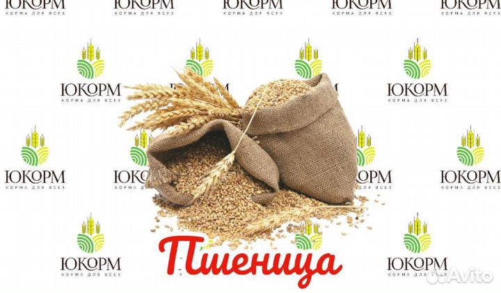 Пшеница в мешках Южная Корона