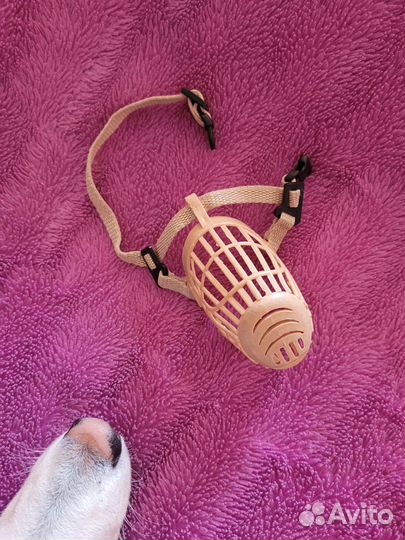 Интеллектуальная игрушка для собак