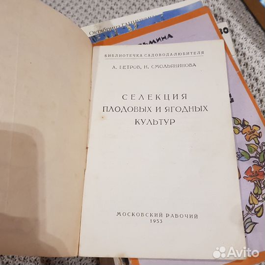 Книги по пчеловодству. Лечение мёдом