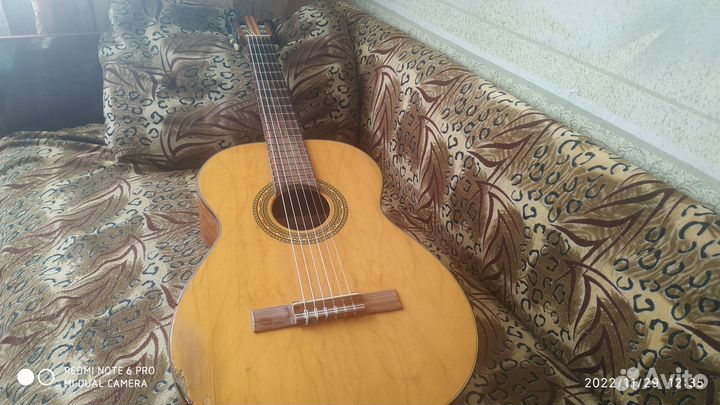 Классическая гитара Musima Classic (Германия)