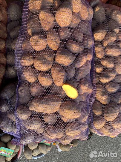 Продам картофель оптом с доставкой