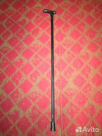 Трость (бадажок)