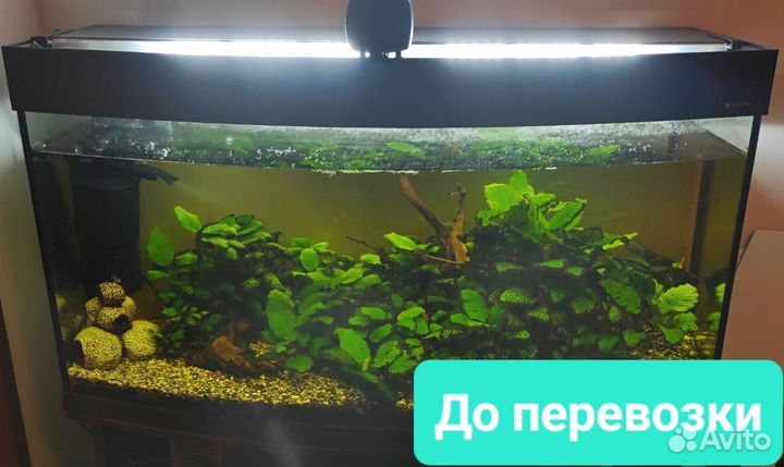 Перевозка аквариума