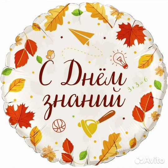 Шары на 1 сентября