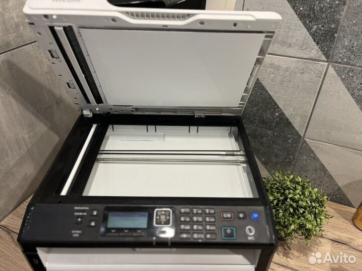 Мфу лазерный ricoh sp220snw